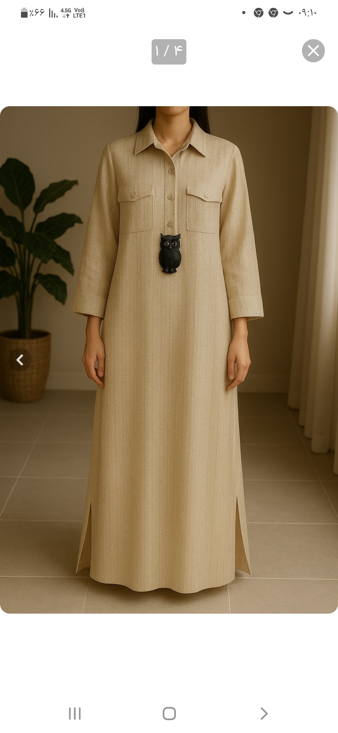 کفتان‌پائیزه‌بلند